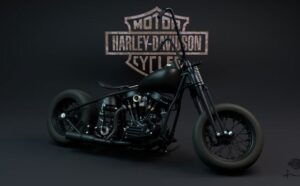 Pawn-Harley-Davidson-Motorcycles @www.pawnamotorbike.com.au